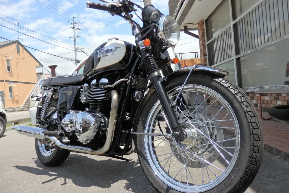 Triumph Bonneville T100 2009, фото 5