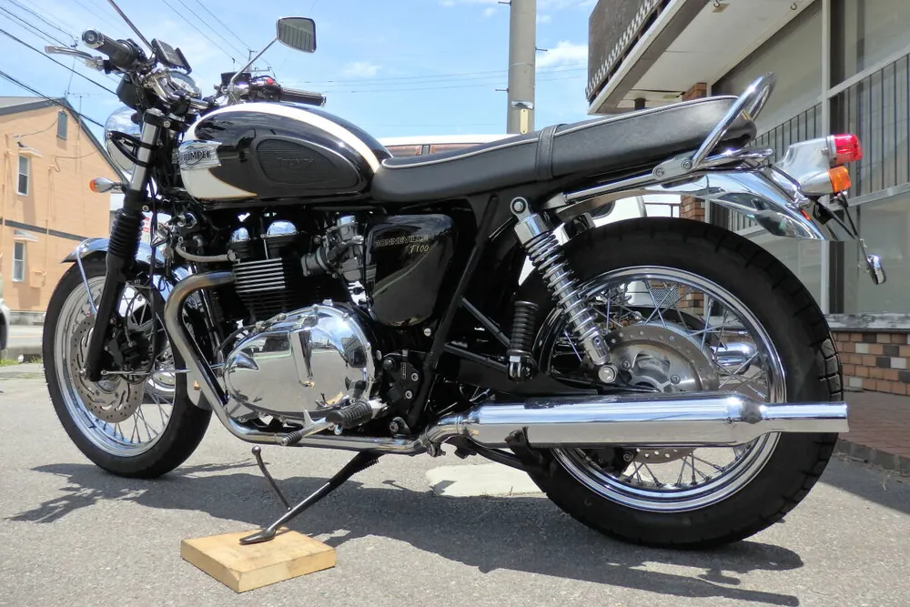 Triumph Bonneville T100 2009, фото 7