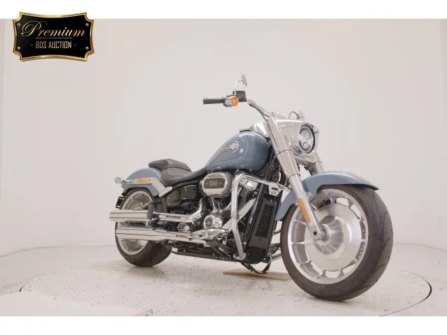 Harley-Davidson FLFBS1870 2025, light blue, фото 3