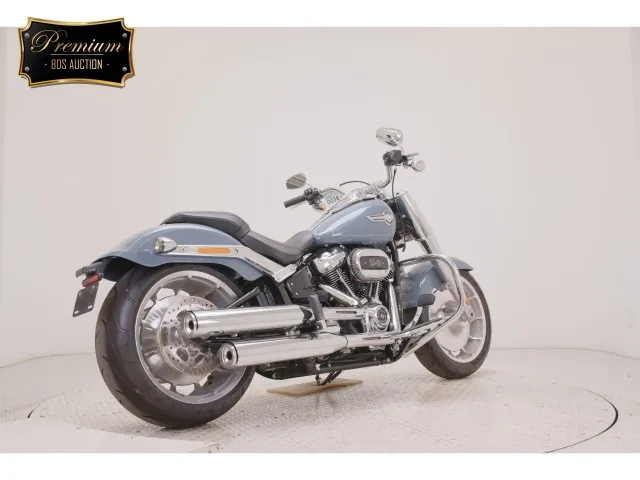 Harley-Davidson FLFBS1870 2025, light blue, фото 5