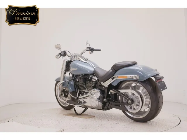 Harley-Davidson FLFBS1870 2025, light blue, фото 6