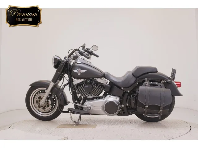 Harley-Davidson FLSTFB1580 2015, matt black, фото 2