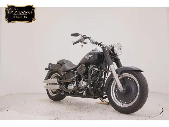 Harley-Davidson FLSTFB1580 2015, matt black, фото 3