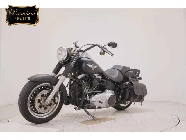 Harley-Davidson FLSTFB1580 2015, matt black, фото 4