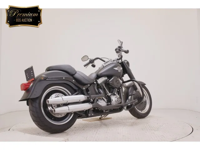 Harley-Davidson FLSTFB1580 2015, matt black, фото 5