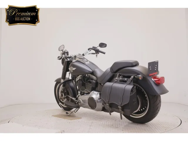 Harley-Davidson FLSTFB1580 2015, matt black, фото 6