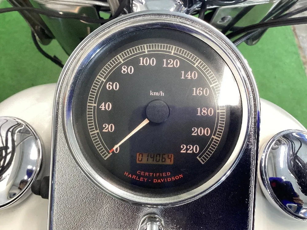 Harley-Davidson Heritage Softail Classic 2000, фото 8