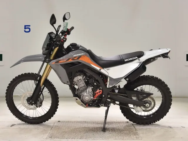 Honda CRF250 Rally, серый, фото 2