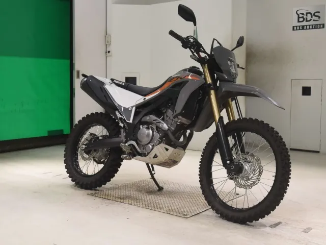 Honda CRF250 Rally, серый, фото 3