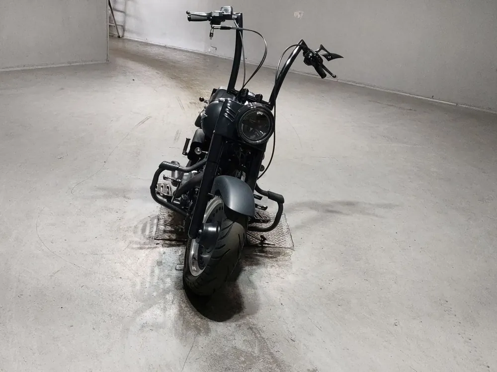 Harley-Davidson FLSTFB1580 2013, чёрный, фото 3