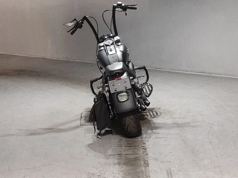 Harley-Davidson FLSTFB1580 2013, чёрный, фото 4