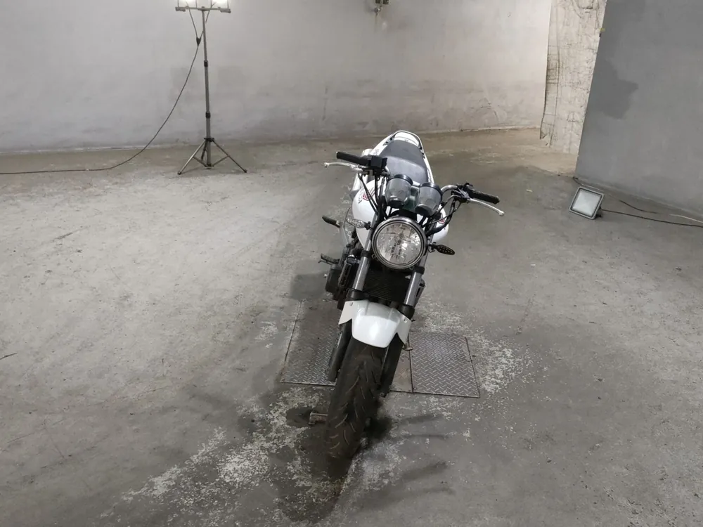 Honda Hornet 250, белый, фото 3