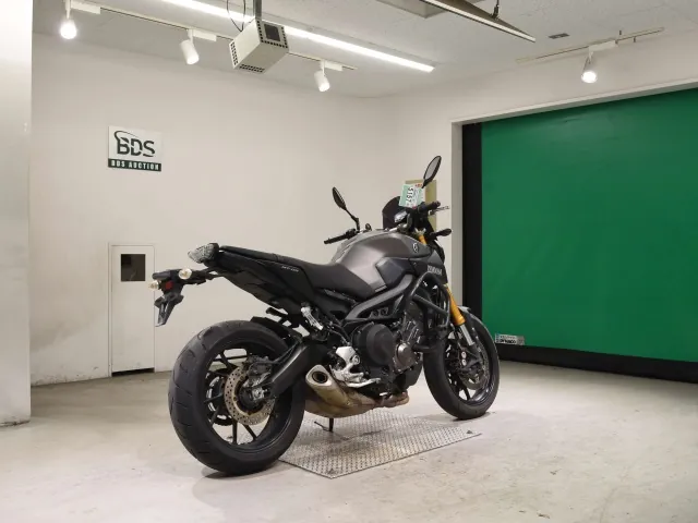 Yamaha MT-09 2014, matt gun, фото 5