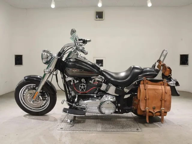 Harley-Davidson FLSTF1580 2008, gunmetal, фото 2