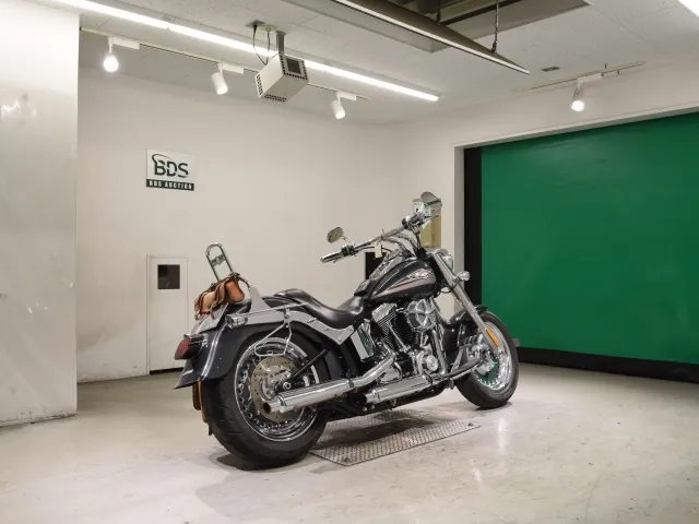 Harley-Davidson FLSTF1580 2008, gunmetal, фото 5