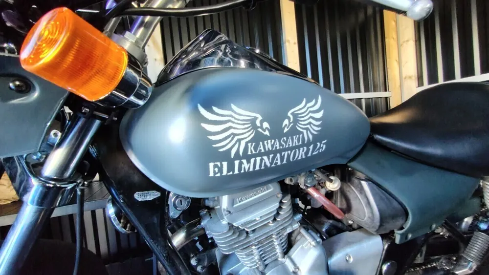 Kawasaki Eliminator125 2001, фото 4