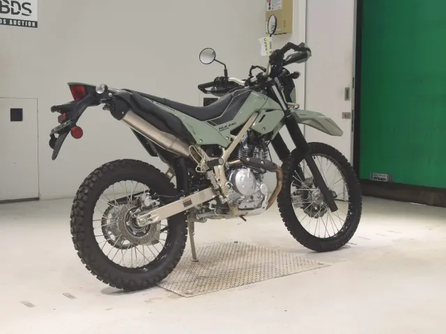 Kawasaki KLX230 Sherpa, зелёный, фото 5