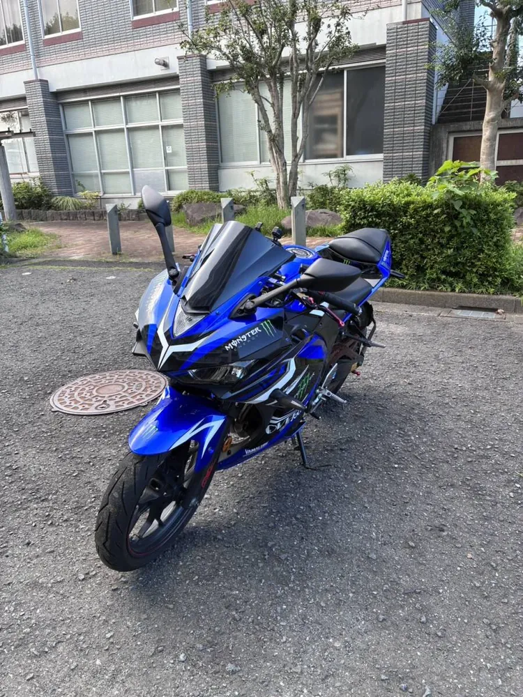 Yamaha YZF-R25 2018, фото 3