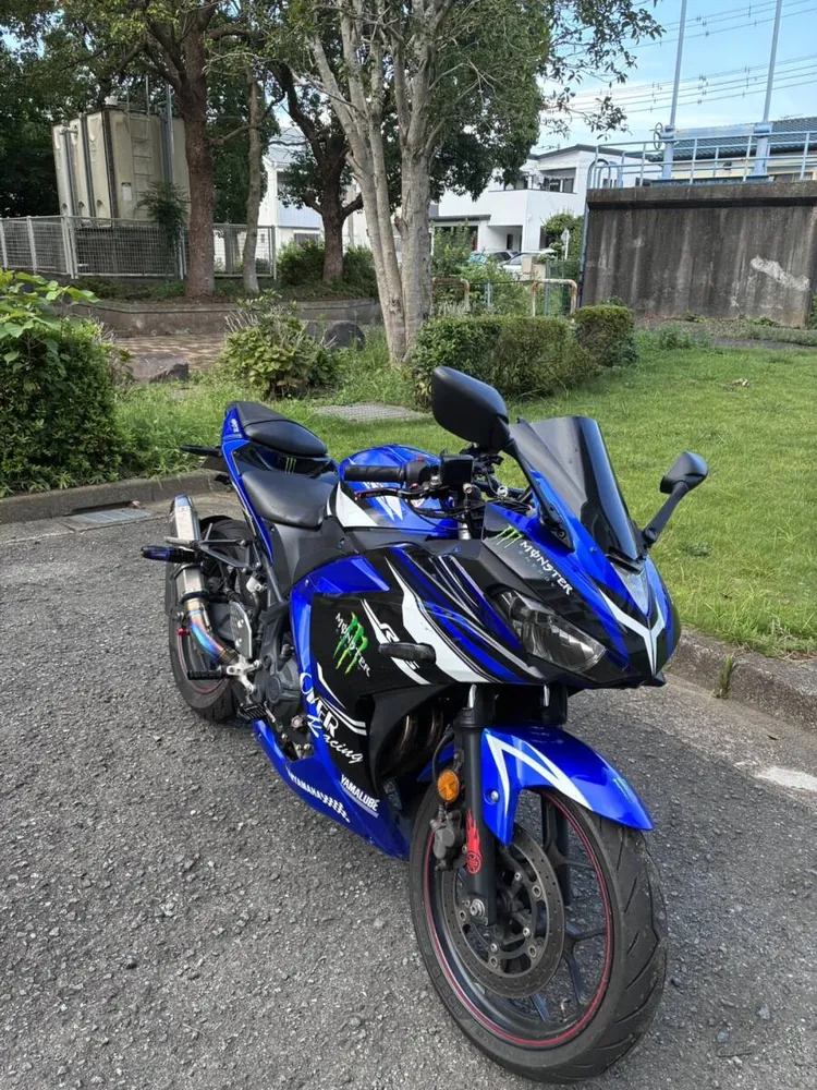 Yamaha YZF-R25 2018, фото 4