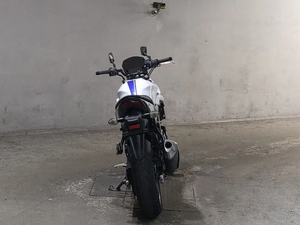 Suzuki SV650 2016, белый, фото 4