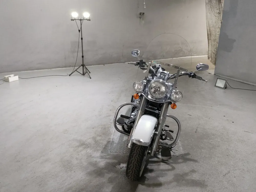 Harley-Davidson FLSTN 2008, white/silver, фото 3