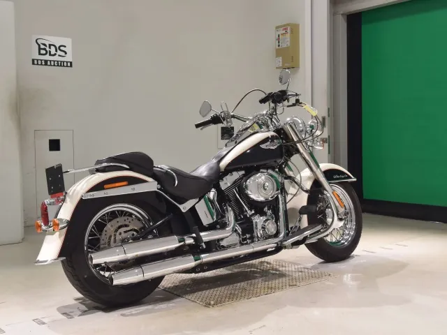 Harley-Davidson FLSTN1580 2011, white | black, фото 5