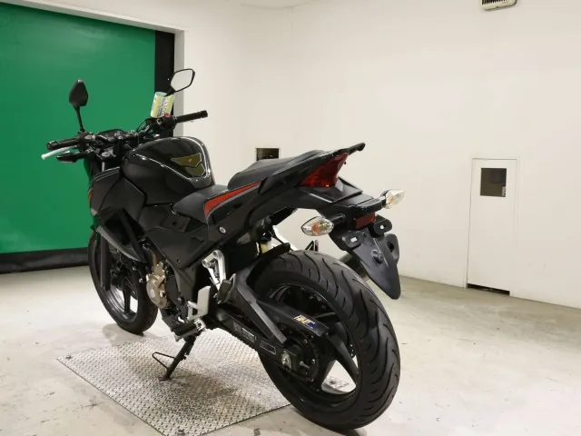Honda CB250F, чёрный, фото 6