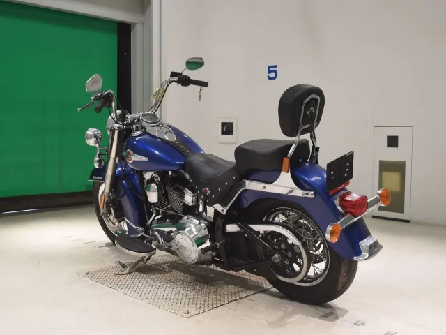 Harley-Davidson FLSTC 1690 2017, синий, фото 6