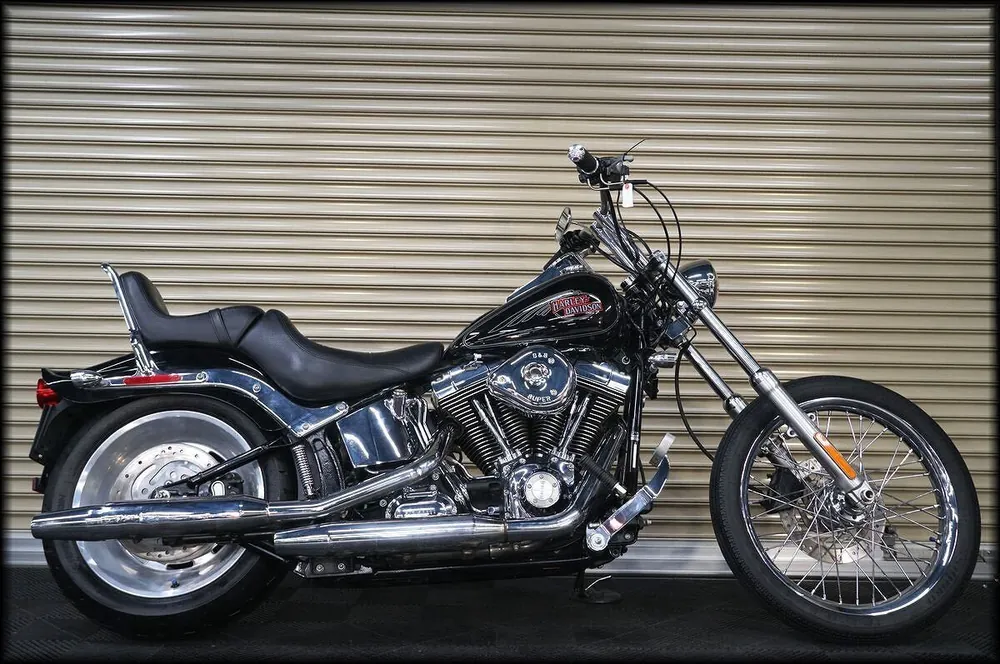 Harley-Davidson Softail Custom 2006, фото 3