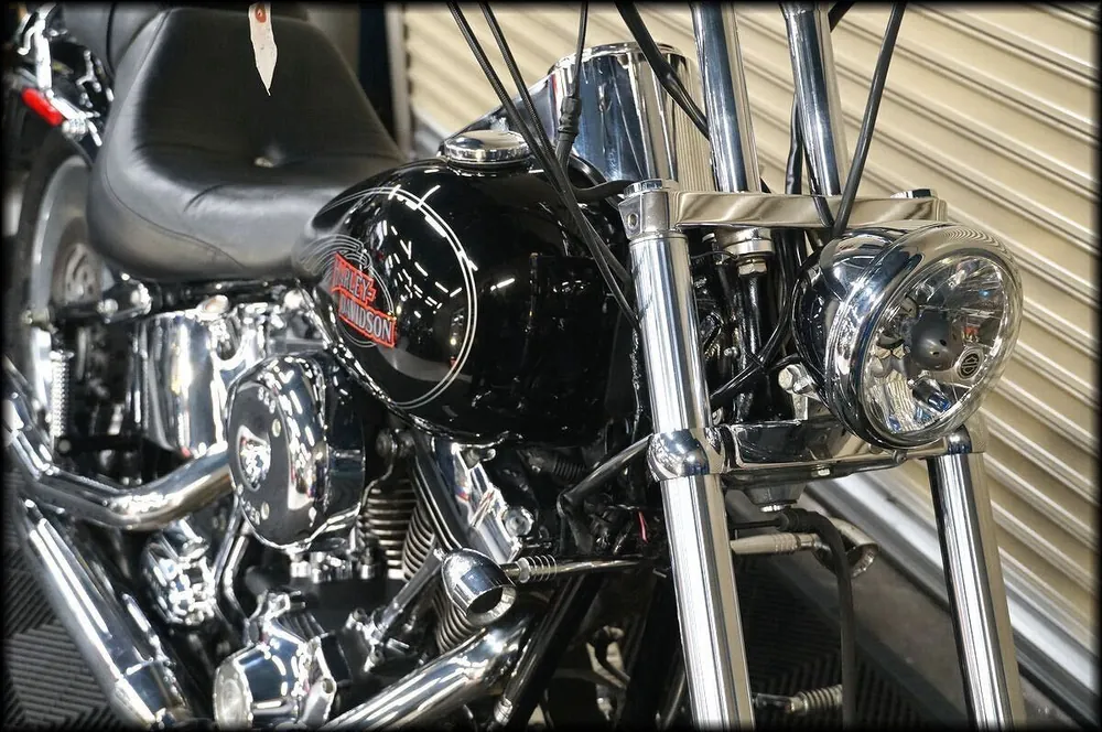 Harley-Davidson Softail Custom 2006, фото 5