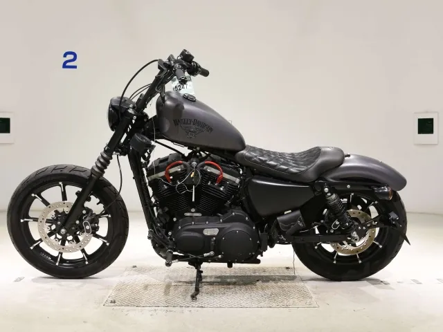 Harley-Davidson XL883N 2015, matt gun, фото 2