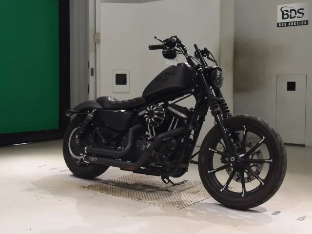 Harley-Davidson XL883N 2015, matt gun, фото 3