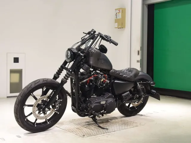 Harley-Davidson XL883N 2015, matt gun, фото 4