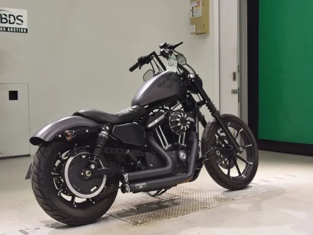 Harley-Davidson XL883N 2015, matt gun, фото 5