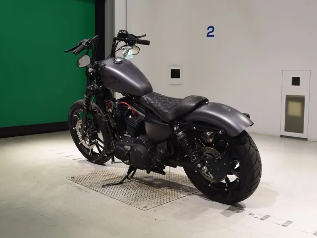 Harley-Davidson XL883N 2015, matt gun, фото 6
