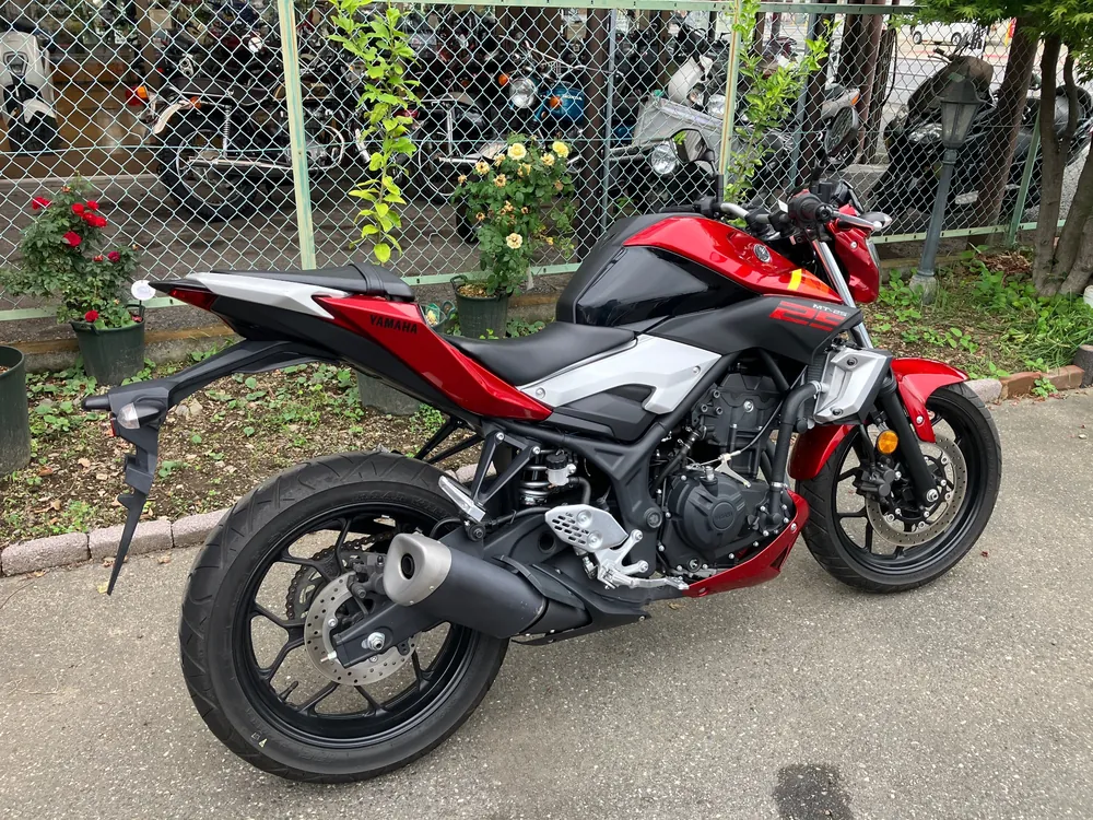 Yamaha YZF-R25, красный, фото 2