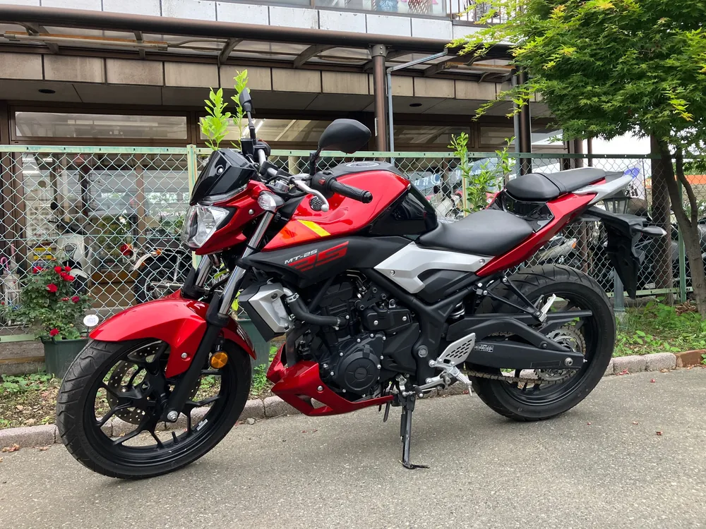 Yamaha YZF-R25, красный, фото 3