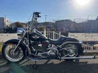 Harley-Davidson FLSTF из Японии, фото 3