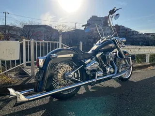 Harley-Davidson FLSTF из Японии, фото 6