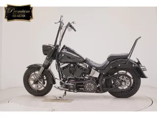 Harley-Davidson FLSTF1580 из Японии, фото 2