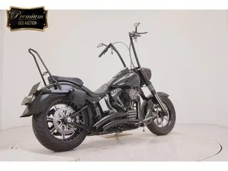 Harley-Davidson FLSTF1580 из Японии, фото 5