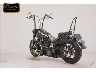 Harley-Davidson FLSTF1580 из Японии, фото 6