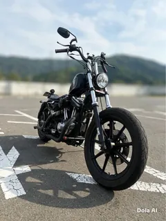 Harley-Davidson XLH1200 из Японии, фото 5