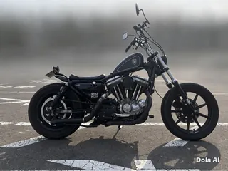 Harley-Davidson XLH1200 из Японии, фото 6