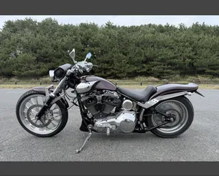 Harley-Davidson FXSTC из Японии, фото 3