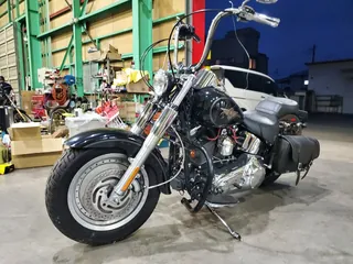 Harley-Davidson FLSTF из Японии, фото 2