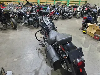 Harley-Davidson FLSTF из Японии, фото 4