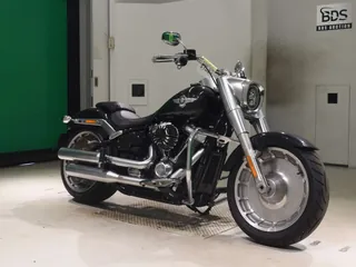 Harley-Davidson FLFB1750 из Японии, фото 3