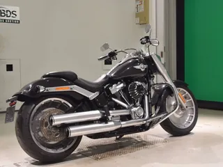 Harley-Davidson FLFB1750 из Японии, фото 5