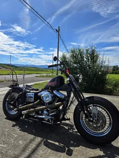 Harley-Davidson Dyna из Японии, фото 1